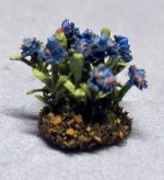 Bachelor Button Quarter-inch scale Bachelor Button Quarter-inch scale